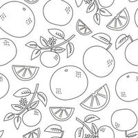 Tangerine doodle seamless pattern vector