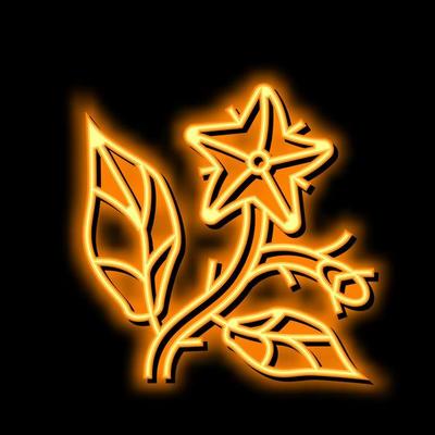 tomato flower neon glow icon illustration