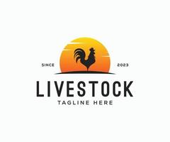 Rooster livestock logo with sun vector illustration design. Rooster and sun vintage logo design