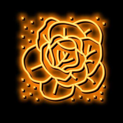 plant cabbage growing on farmland neon glow icon illustration