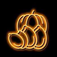 pumpkin nut neon glow icon illustration vector