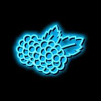 blackberry berry neon glow icon illustration vector