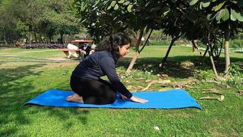 giovane indiano donna praticante yoga all'aperto nel un' parco. bellissimo ragazza pratica di base yoga posa. quiete e relax, femmina felicità. di base yoga pose all'aperto video