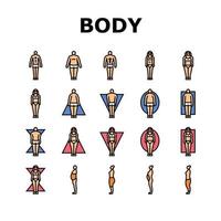 body human anatomy figure icons set vector