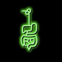 digestive system neon glow icon illustration vector