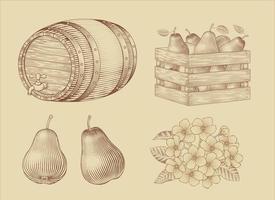 Engraved elements of a wooden barrel dispenser, a crate of pears, pears and its flower isolated on light brown background vector