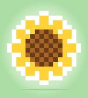 Píxel de 8 bits de girasol, píxel de planta para activos de juego y patrones de punto cruzado en ilustraciones vectoriales. vector