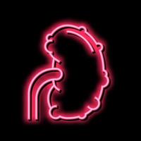 chronic pyelonephritis neon glow icon illustration vector