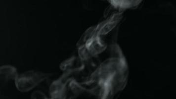 le l'eau vaporisateur vapeur ou fumée mouvement isolé sur noir Contexte. video