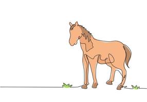 una línea continua dibujando un caballo parado firmemente en el pasto. negocio ganadero exitoso dirigido por agricultores profesionales. concepto de minimalismo. Ilustración gráfica de vector de diseño de dibujo de una sola línea.