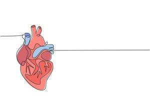 un dibujo de línea continua del órgano anatómico del corazón humano. concepto de anatomía interna médica. Ilustración de vector de diseño de moda de dibujo de una sola línea moderna