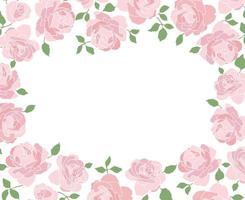 Pink Roses Background vector