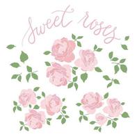 Pink Roses Set vector