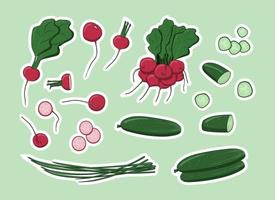 Set of green spring vegetables stickers. Isolated radishes, cucumbers and spring onion. Vector flat isolated illustration. Colorful stickers with healthy food