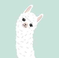 dulce lama alpaca cabeza con cara vector