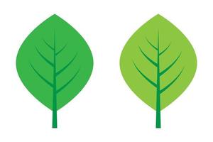 Creative leaf set design vector