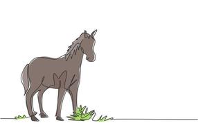 dibujo de una sola línea de un caballo parado firmemente en el pasto. negocio ganadero exitoso dirigido por agricultores profesionales. concepto de minimalismo. Ilustración de vector gráfico de diseño de dibujo de una línea.