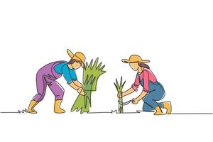 Single one line drawing of couple farmer was harvesting rice and there was also rice that had been tied up. Farming challenge minimal concept. Continuous line draw design graphic vector illustration.