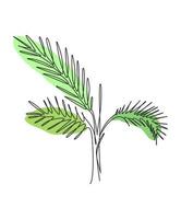 Ilustración de vector de una sola línea de dibujo de palma de imitación de hoja de areca. hojas tropicales estilo minimalista, concepto de patrón floral para póster, impresión de decoración de pared. diseño de dibujo gráfico de línea continua moderna