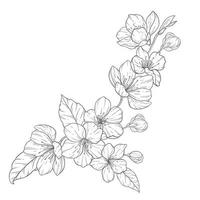 Floral Line Art, Sakura Flower Outline Illustration Set. Hand Painted Doodle Flowers. Perfect for wedding invitations, bridal shower and floral greeting cards. Black and white stencil flowers isolated vector