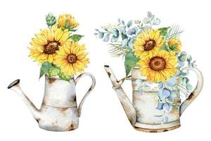 Watercolor sunflowers bouquet, hand painted sunflower bouquets with greenery, sunfower flower arrangement. Sunflower Farmhouse decor. Watercolor floral. Botanical Drawing. White background vector