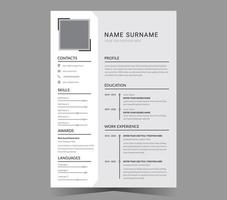 Professional CV resume template and vector design.