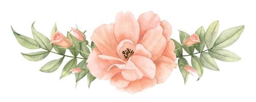 acuarela rosado Rosa flor con verde hojas. mano dibujado ilustración de floral ramo de flores en pastel cremoso colores en aislado antecedentes. dibujo de delicado plantas para Boda invitaciones o tarjetas