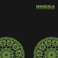 luxury mandala with black background vector