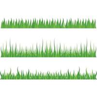 Vector green grass illustration