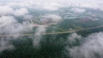 Aerial view mover over cloud at oil palm video