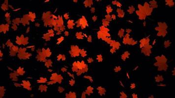 rouge feuilles chute animation dans 4k ultra HD, magnifique animation pour Contexte video