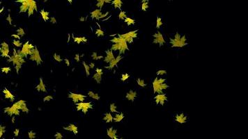 vistoso hojas volador animación en 4k ultra alta definición, hermosa animación para antecedentes video