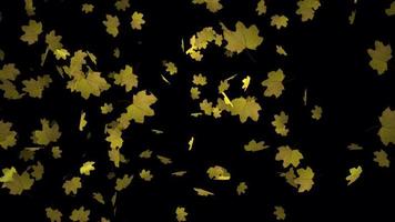 Herbst Blätter fliegend Animation im 4k Ultra hd, schön Animation zum Hintergrund video