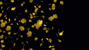 Gelb Blätter fallen Animation im 4k Ultra hd, schön Animation zum Hintergrund