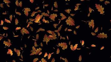 Herbst Blätter fallen Animation im 4k Ultra hd, schön Animation zum Hintergrund