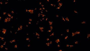 feuilles animation dans 4k ultra HD, magnifique l'automne feuilles animation pour Contexte video