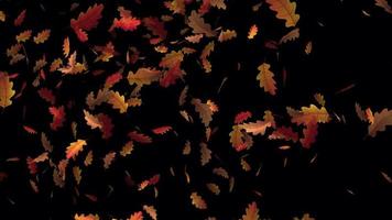 höst löv faller animering i 4k ultra hd, skön löv animering för bakgrund video