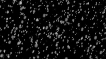chute de neige noir écran recouvrir Animé neige chute gratuit vidéo video