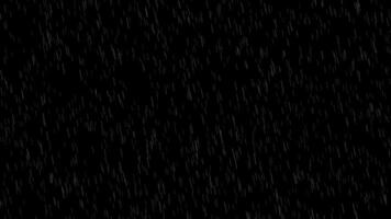 Tận hưởng cảm giác mát mẻ và thư giãn giữa những ngày mưa với ảnh nền Black Screen Rain. Sự kết hợp giữa những hạt mưa và nền đen sẽ mang đến cho bạn một trải nghiệm tuyệt vời và không quên.