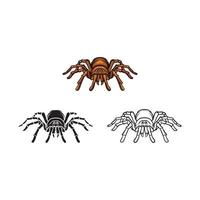 Realistic Spiders Diagram Colored Composition Spider Species Description  Them Vector Stock Vector by ©macrovector 617355090