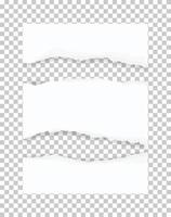 Ripped paper texture. Torn paper edges background. White paper for banner tag background. Vector.