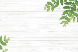 Wood texture background with green leaves.  Vector illustration.