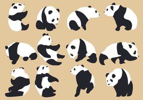Cute panda illustration with many variations vector