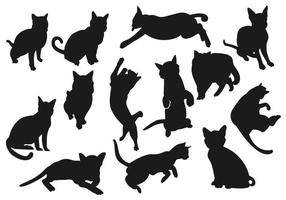 gato vector silueta. gato grupo haz conjunto ilustración. negro color aislado en blanco antecedentes