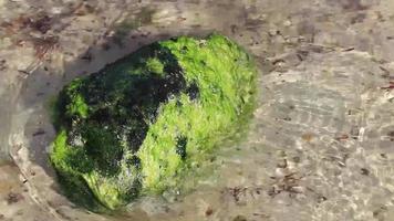 piedras rocas corales turquesa verde azul agua playa mexico. video