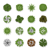 Trees top view for landscape design png