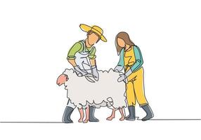 Single continuous line drawing couple farmer was cutting fleece to make a sweater. Done professionally for satisfactory results. Minimalism concept. One line draw graphic design vector illustration.