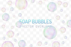 Realistic glossy soap bubbles overlay vector