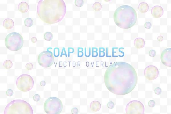 Realistic glossy soap bubbles overlay