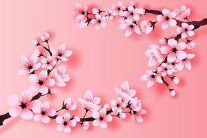 illustration of paper art and craft spring season cherry blossom concept,Springtime with sakura branch, Floral Cherry blossom with pink flowers on place text space white background,Paper cut vector. vector